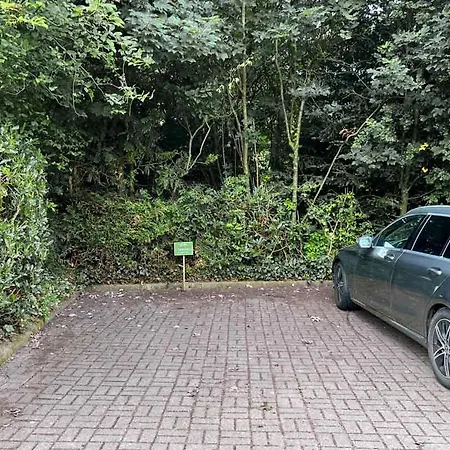 Mit Seezugang 1x Ueber Strasse * Gross Wittensee